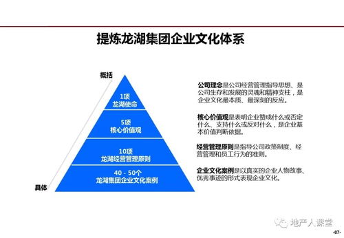 數(shù)字化驅(qū)動(dòng)下的精細(xì)化管理 龍湖企業(yè)管理與運(yùn)營(yíng)中的計(jì)算機(jī)系統(tǒng)服務(wù)應(yīng)用