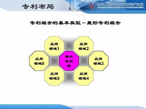 企業知識產權戰略規劃與管理培訓精品課件分享 二 計算機系統服務